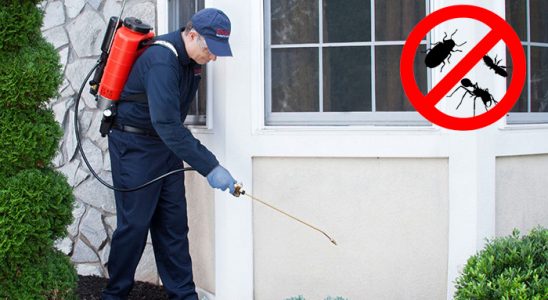 Sivrice Böcek ve Haşere İlaçlama böcek ilaçlama ve haşere kontrolü — ilaclama-tr.com